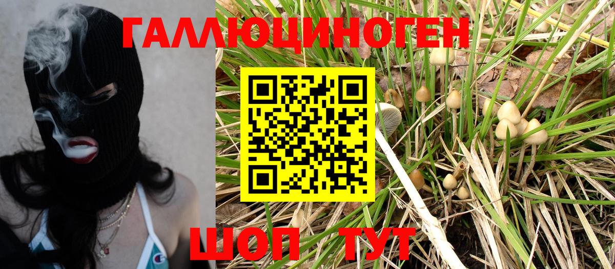 наркошоп  Вход с VPN  Прохладный  Галлюциногенные грибы Psilocybine cubensis 