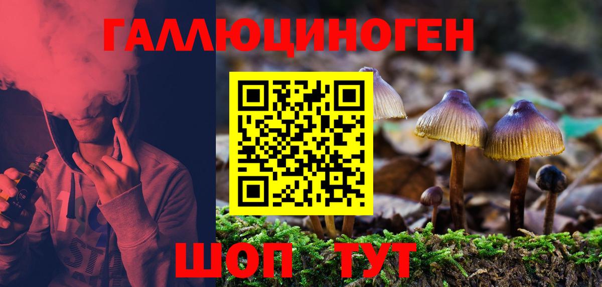 Галлюциногенные грибы мухоморы Прохладный