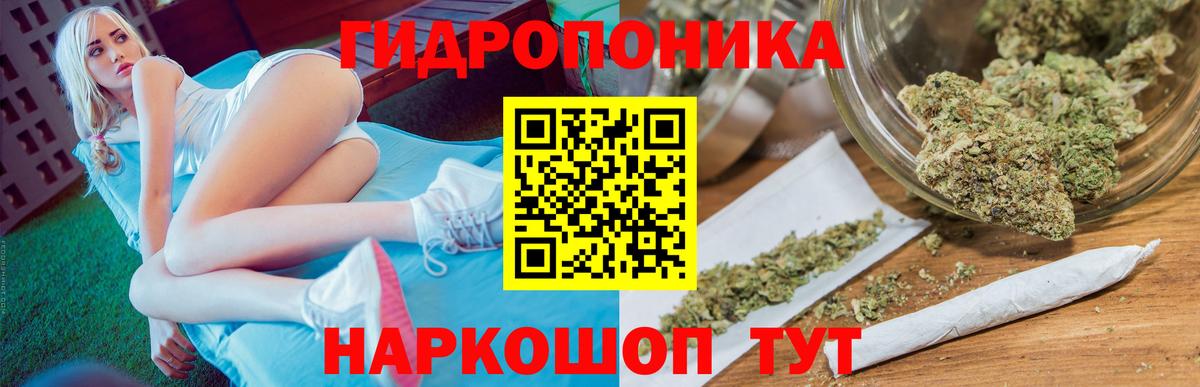 Канабис MAZAR Прохладный